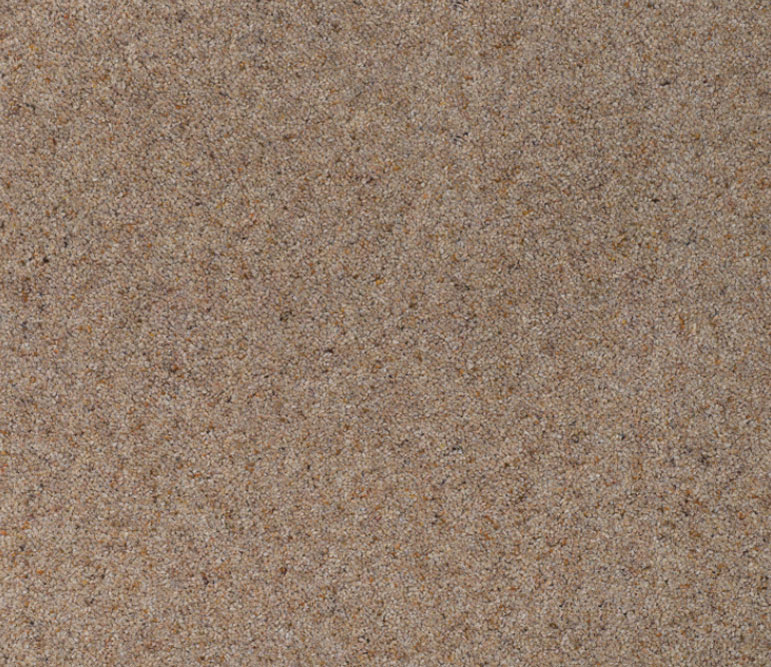 Orion Algebar Carpet