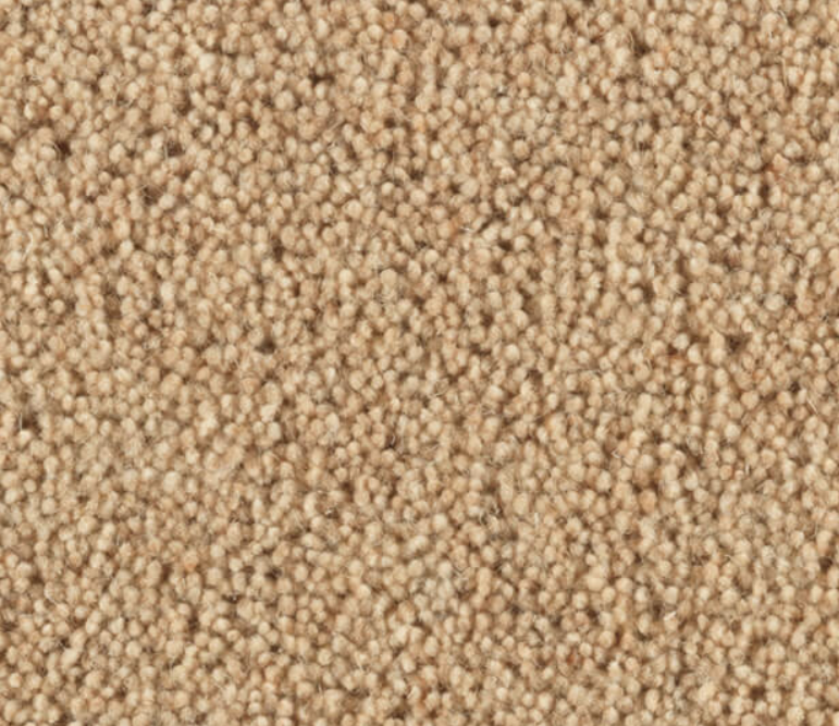 carlton almond carpet